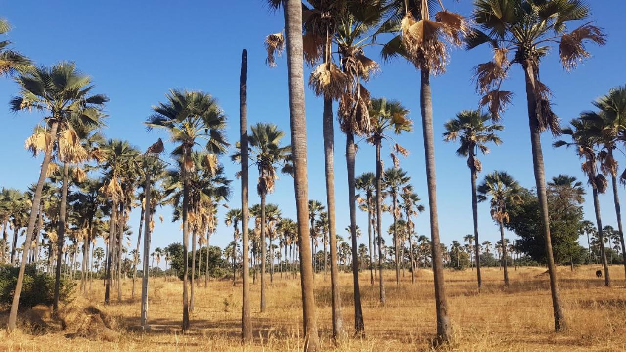 Villa Met Prive Zwembad In Residence Safari Village Saly Portudal Luaran gambar