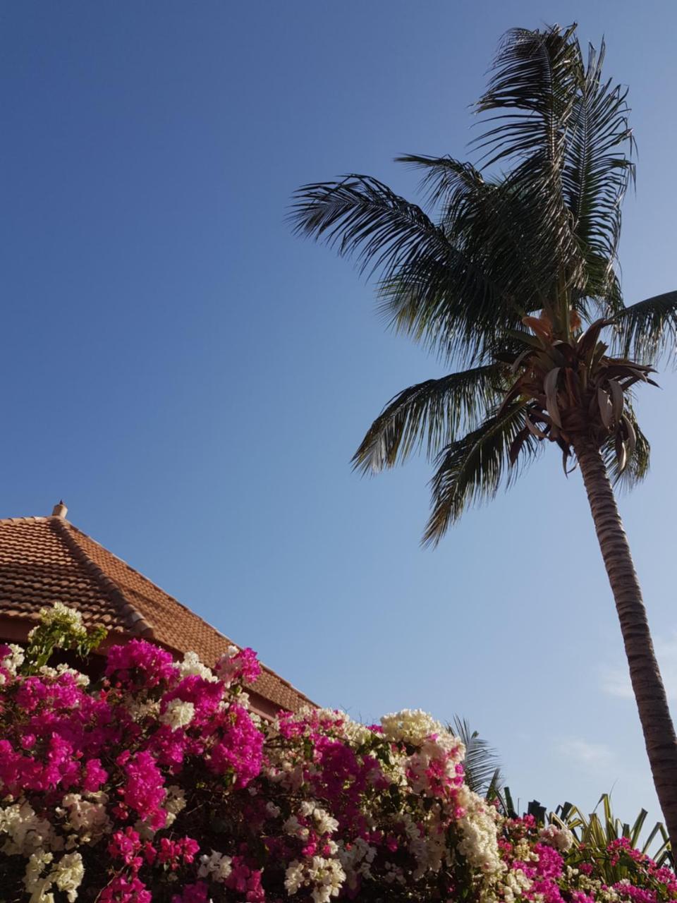 Villa Met Prive Zwembad In Residence Safari Village Saly Portudal Luaran gambar